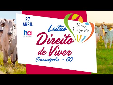 LEILÃO DIREITO DE VIVER 2024 - SERRANÓPOLIS - GO