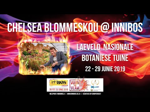 Chelsea Blommeskou @ Innibos 2019