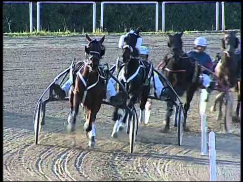 Trotto 30/10/2014 - 1° corsa