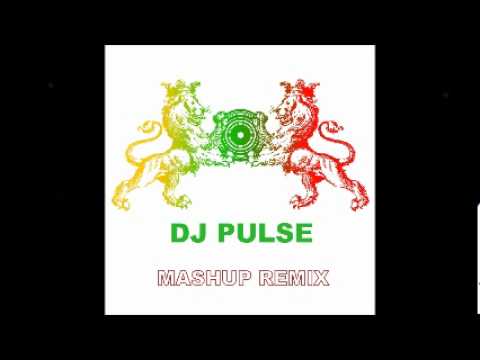 Mashup Remix 2012 - Nicki Minaj Vs Sean Paul Vs Coldplay (DJ Pulse Mashup Remix)