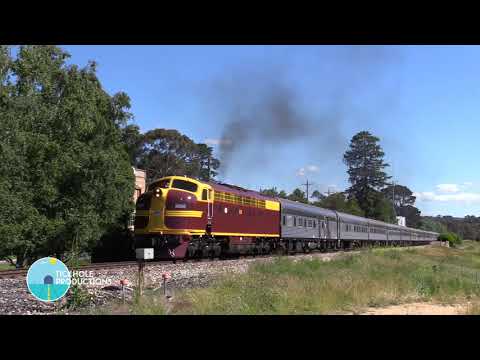 Diesel Locomotives (Streamliners) 4204 & 42103 - Golden West Rail Tour - November 2020