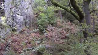 preview picture of video 'Rocher de Bilisse - vallée de la Statte - Solwaster'
