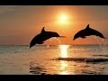 Moment of Peace - Gregorian Masters of Chants ...