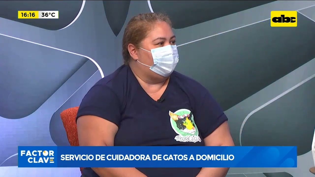 Cuidadora de gatos a domicilio