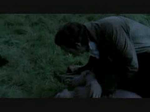 S&S Col. Brandon and Marianne "....when it rained "