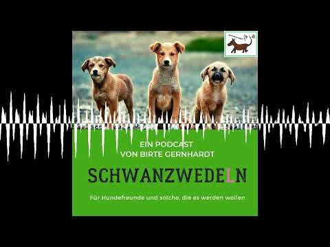 94 Gentle Buddies - ganzheitliches und achtsames Hundetraining - Schwanzwedeln