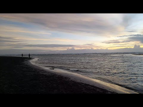 Video No copyright l background -  pemandangan pantai di senja hari asli