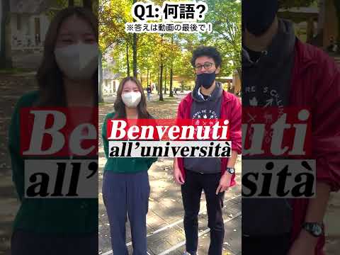 [東京外国語大学］第100回外語祭（東京外国語大学祭）2022年11月19日〜23日‼︎（3日前）Map data ©2022 Google　#外語祭 #東京外大 #東京外国語大学