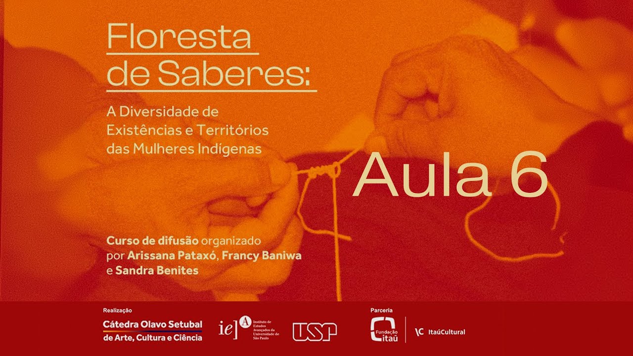 Floresta de Saberes: a Diversidade de Existências e Territórios das Mulheres Indígenas - Aula 6