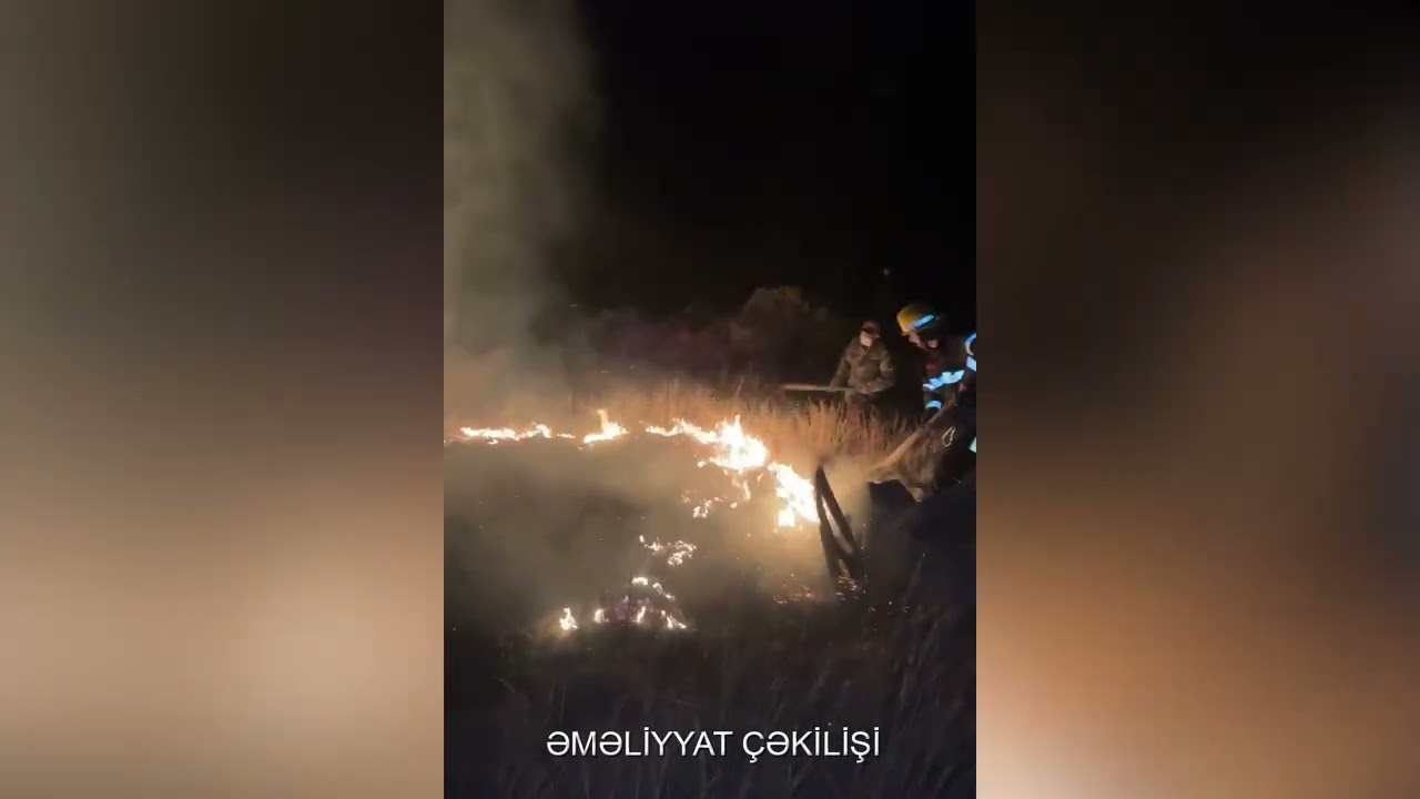 Gədəbəydə 100 ha sahə yanıb VİDEO