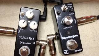Video thumbnail for SHOOTOUT! Mosky Black Rat vs Eno Myomorpha! by northtownsound