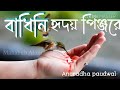 Badhini Hridoy Pinjore বাধিনি হৃদয় পিন্জরে Anuradha Paudwal