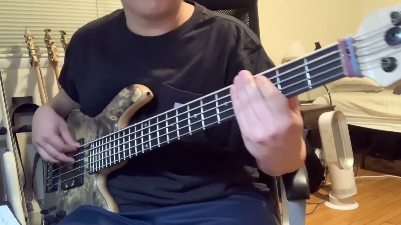 Promotional video thumbnail 5 for Bassist