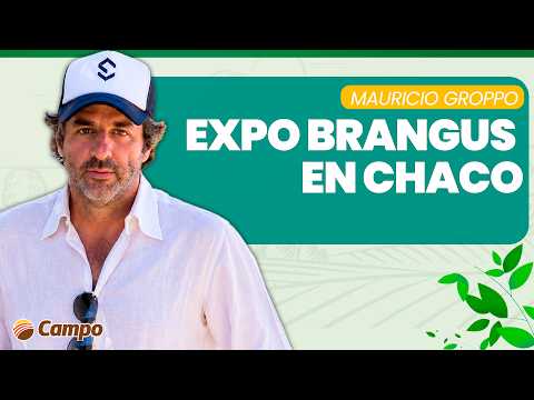 LITORAL CAMPO | Chaco se alista para una nueva edición de Expo Brangus Primavera