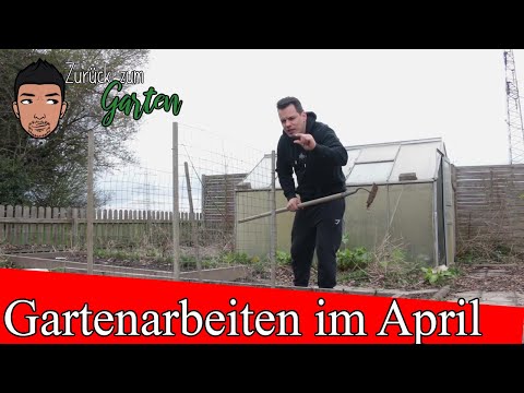 Gartenarbeiten April im Gemüsegarten, Hochbeet und Obstgarten