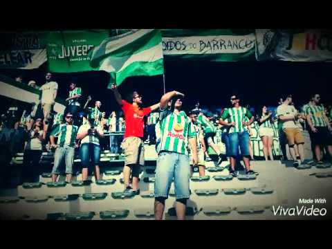 Os loucos da papada Gauchão 2016