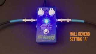 Video thumbnail for Biyang Tri Reverb RV-10 Pedal Review Demo by CheaperPedals.com