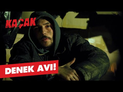 Denek avı! - Kaçak 15.  Bölüm
