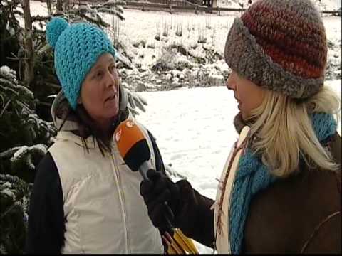 bogenschießen im glemmerhof viehhofen