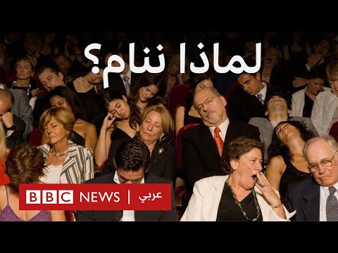 فيديو | ثلث حياتنا نقضيه في النوم... فلماذا ننام؟
