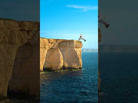 空飛ぶ車はあったんだ…‼︎ #虎のいる生活