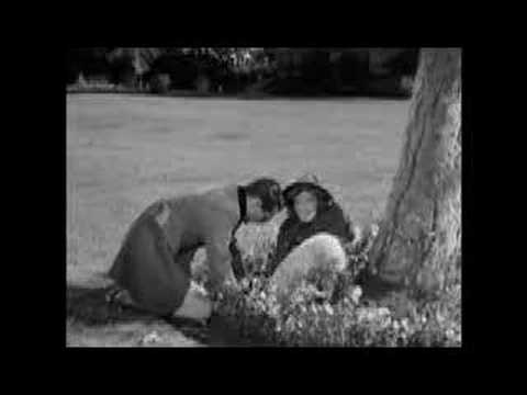 Bringing Up Baby - favorite scene