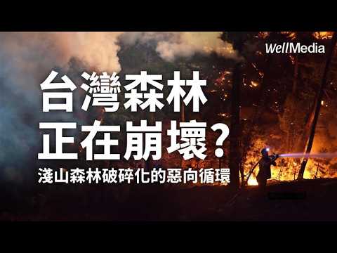 台灣森林正在崩壞？淺山森林破碎化危機！極端氣候恐陷「惡向循環」【WellTalk】