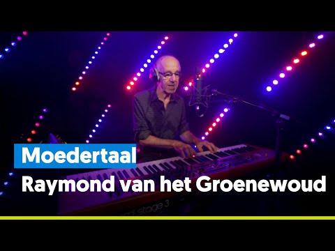 Moedertaal - Raymond van het Groenewoud