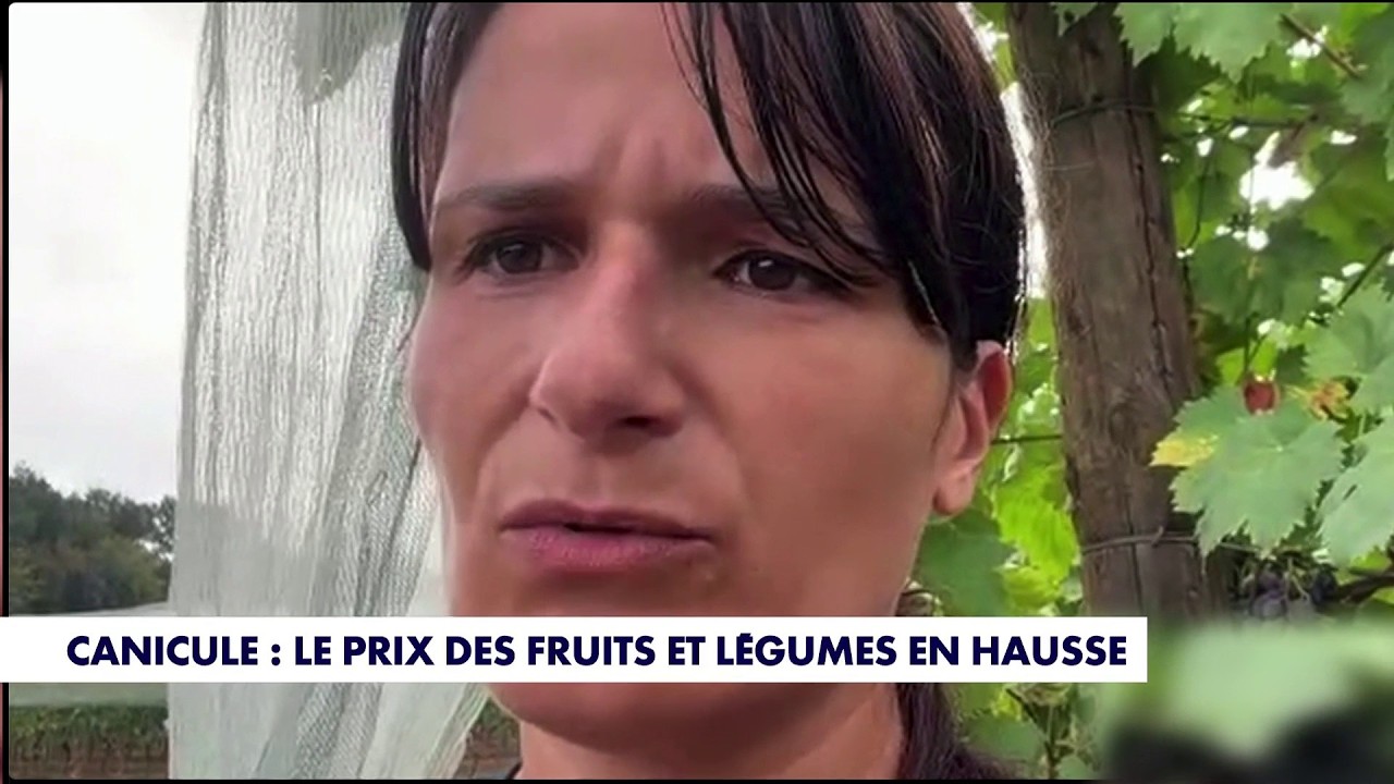 Illustration: Crise agricole : Karine Ducet alerte sur une urgence vitale