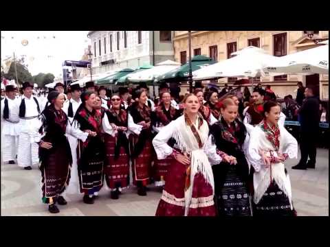 50. Vinkovačke jeseni