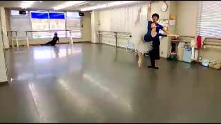 Rehearsals rehearsals *black Swan