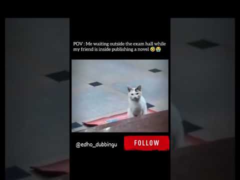 Vandana Sharma's post tagged #animalvoiceover