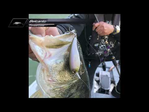 Vobler EverGreen Belcanto 6.3cm 10g Hologram Wakasagi F