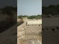 My Village Beautiful Scene