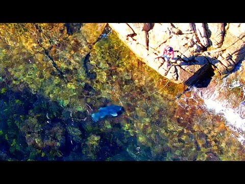 4 Days Solo Camping Sight Casting Huge Fish!