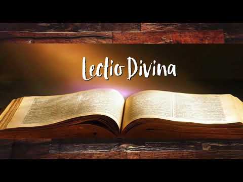 LECTIO DIVINA November 19, 2021