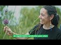 Open video