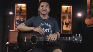 Video thumbnail for Tittle: Cort Little CJ Blackwood by Melodramatic Music store