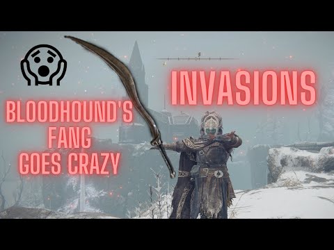 Bloodhound's Fang goes CRAZY in Elden Ring Invasions!