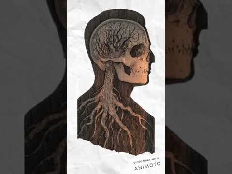Orphaned In Storyville video