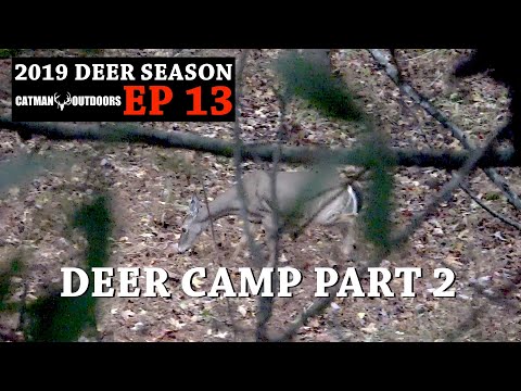 Bow Hunting on a Small Island - 2019 Deer Season, Ep. 13