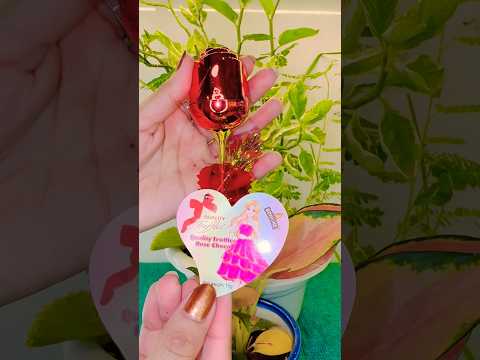 Quality Truffles Rose Choco #unboxing #rose #chocolate #shop #shorts