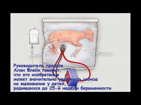 Пластиковая матка для ягненка