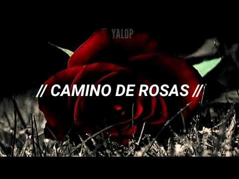 Camino de rosas- Alejandro Sanz (Letra)
