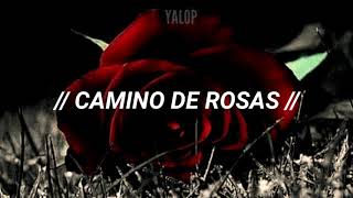Camino de rosas- Alejandro Sanz (Letra)