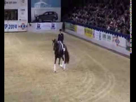 FLORISCOUNT v. Florencio x Donnerhall - Walldorf & Oliver Oelrich