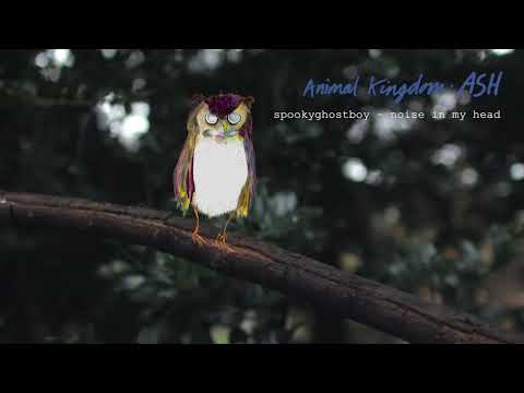 Noise in my Head by spookyghostboy (Official Audio) | Animal Kingdom