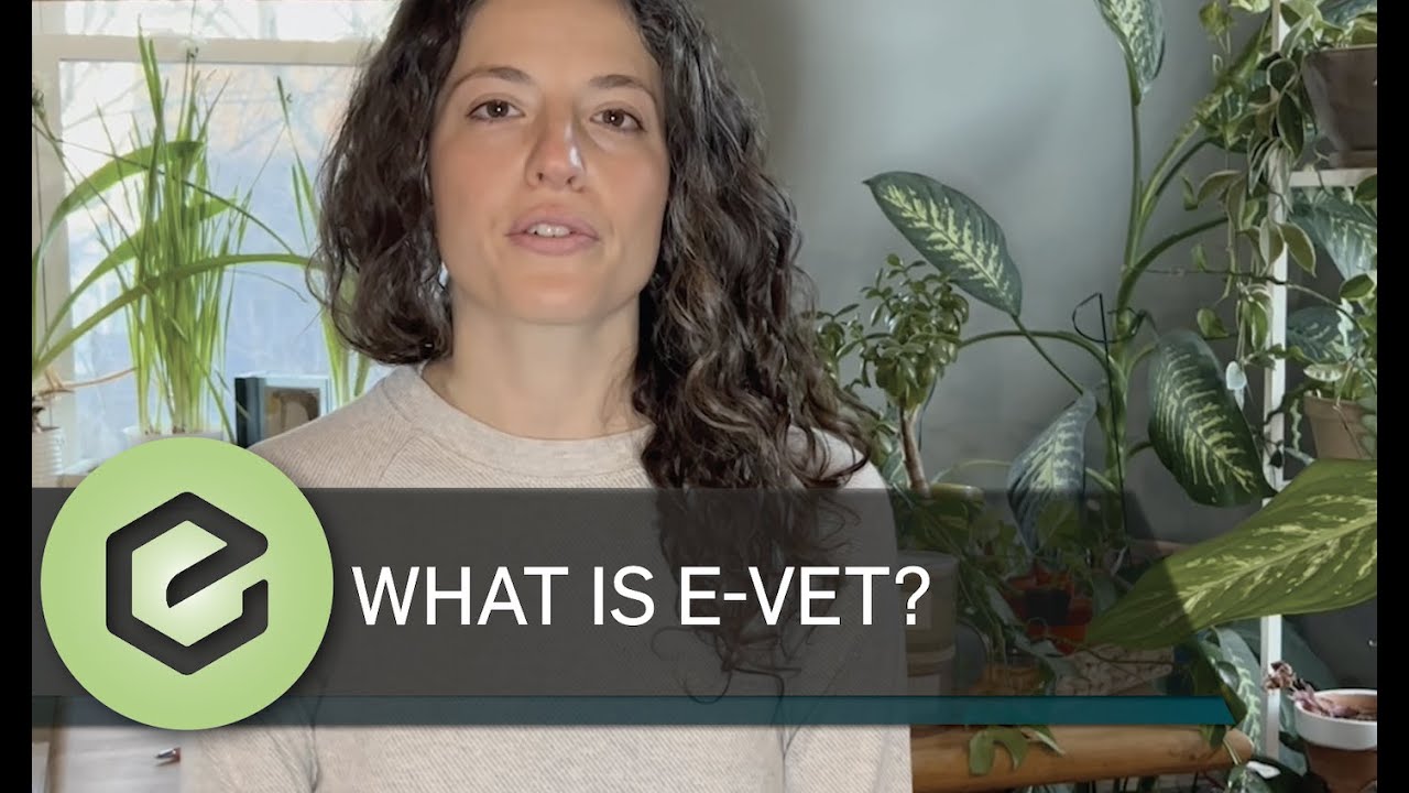 What is E-VET?