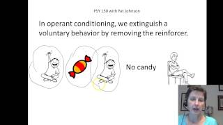 PSY 150 Operant Conditioning Extinction and Shaping