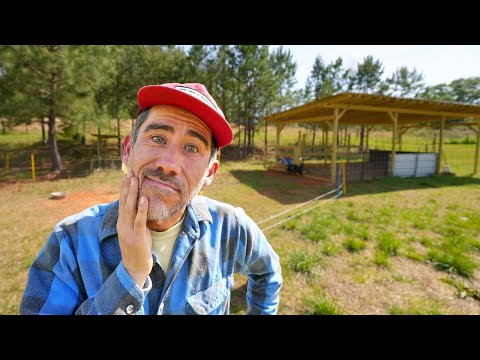 Day in the life on a Small Farm (Spring Day)
